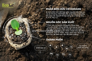 Phân bón hữu cơ khoáng là gì? lợi ích và lý do bạn nên sử dụng