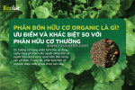 Phân bón hữu cơ organic là gì? khác biệt gì so với phân hữu cơ thường?