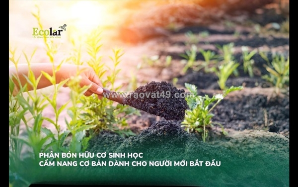 ~/Img/2025/11/phan-bon-huu-co-sinh-hoc-bi-quyet-va-kinh-nghiem-cho-nguoi-bat-dau-01.jpg