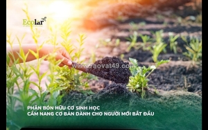 Phân bón hữu cơ sinh học: bí quyết và kinh nghiệm cho người bắt đầu