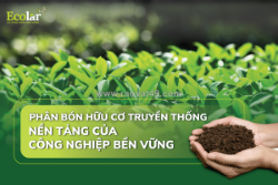 Phân bón hữu cơ truyền thống: giải pháp an toàn cho đất, khỏe cho cây