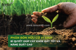 Phân bón hữu cơ vi sinh: nền tảng của canh tác bền vững thời hiện đại
