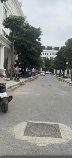 Phân lô vip thanh xuân nguyễn huy tưởng giá đầu tư