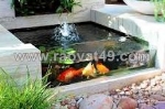 Quy trình thiết kế thi công hồ koi ở đồng nai, hcm..