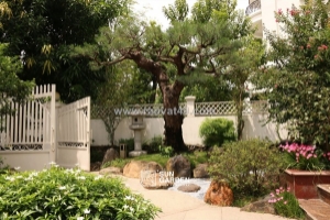 Sân vườn nhỏ đẹp – biến góc sân khiêm tốn thành không gian thư giãn