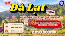 Sele tri ân - mừng tết thầy cô 20/11