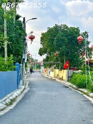 Siêu hiếm! lô 116m² mặt đường tdp quang trung – minh đức, đồ sơn, giá chỉ 2.x