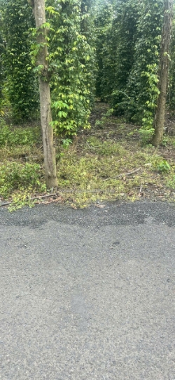 Siêu phẩm 🌿đất đẹp
- vị trí đắc địa tại :  hòa hội -  xuyên mộc- tỉnh bà rịa