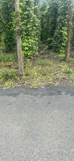 Siêu phẩm 🌿đất đẹp
- vị trí đắc địa tại :  hòa hội -  xuyên mộc- tỉnh bà rịa