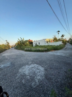 Siêu phẩm đất mặt đường – kim đới 1, hữu bằng, kiến thụy
giá chỉ 1.2x tỷ – cơ