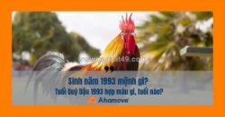 Sinh năm 1993 mệnh gì? khám phá vận mệnh và phong thủy của tuổi quý dậu