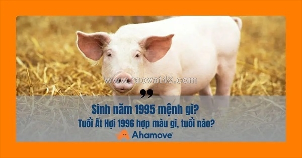 ~/Img/2025/11/sinh-nam-1995-menh-gi-kham-pha-van-menh-va-phong-thuy-cua-tuoi-at-hoi-01.jpg
