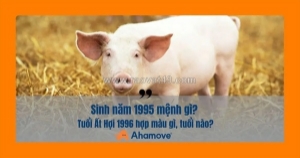 Sinh năm 1995 mệnh gì? khám phá vận mệnh và phong thủy của tuổi ất hợi