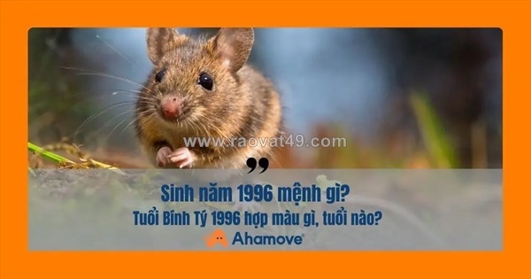 ~/Img/2025/11/sinh-nam-1996-menh-gi-kham-pha-van-menh-va-phong-thuy-cua-tuoi-binh-ty-01.jpg