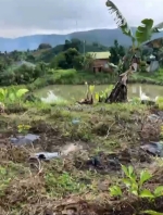 Sở hữu ngay lô đất đẹp - giá tốt tại xã krông nô, huyện lắk. tỉnh đắk lắk