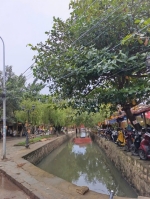 Sở hữu ngay lô đất đẹp - giá tốt - vị trí đắc địa tại phố đi bộ hội an, phường