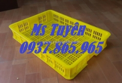 Sóng nhựa hở nguyên sinh, sọt nhựa đựng rau củ, sọt nhựa cao 10, phân phôi sột nhựa