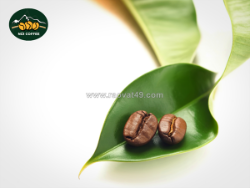 Tác dụng cà phê – thức uống giúp cơ thể và tinh thần cân bằng