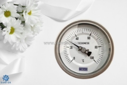 Tại sao đồng hồ nhiệt độ yamaki chân sau 0–100°c được ưa chuộng trong công nghiệp? – hàng chính hãng từ dantek