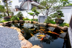 Thiết kế sân sau nhà ống — không gian xanh bình yên và tối giản