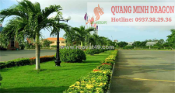 Thiết kế sân vườn được ưa chuộng hiện nay theo xu hướng