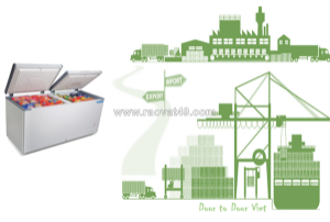 Thủ tục nhập khẩu tủ đông lạnh 1