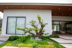 Tiểu cảnh trong nhà đẹp – gợi ý mang thiên nhiên vào không gian sống hiện đại