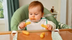 Top các loại bánh ăn dặm được ưa chuộng nhất hiện nay?