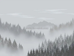 Tranh phong cảnh núi rừng tây bắc: hùng vĩ và nên thơ