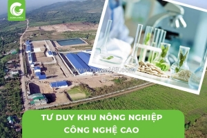 Tư duy khu nông nghiệp công nghệ cao