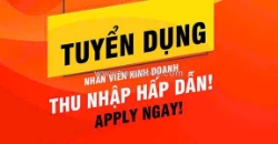 Tuyển cskh (lcb 8 triệu + kyc kinh nghiệm) tại dĩ an, bình dương
