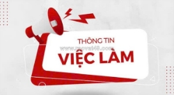 Tuyển gấp lđpt làm hộp quà tết tại q12 được chọn ca làm việc