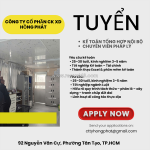 Tuyển kế toán – làm việc tại carina plaza quận 8