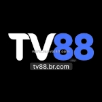 Tv88 – uy tín việt nam, bảo mật hàng đầu