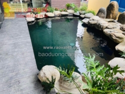 Vệ sinh bể lọc hồ koi ở đồng nai, hcm