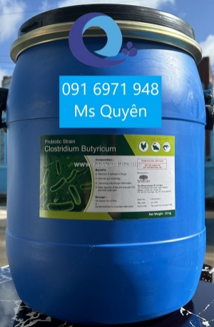 Vi sinh clostridium butyricum 5 tỷ hàng ấn độ