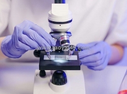 Việt sinh – chuyên phân phối kính hiển vi 1 mắt quang học uy tín giá tốt