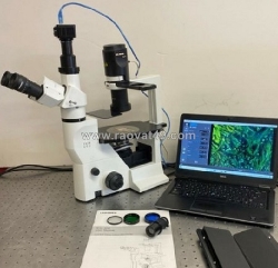 Visitech - địa chỉ uy tín chuyên bán kính hiển vi 3 mắt dùng cho phòng thí nghiệm