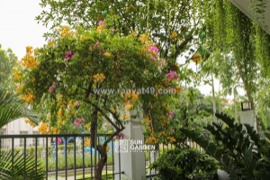 Vườn nhà đẹp — tận dụng khoảng sân thừa tạo không gian sống xanh