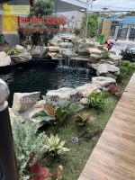 Xây dựng thi công hồ cá koi nhật đạt chuẩn