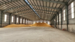 Xt xưởng sản xuất cho thuê ổn định lâu dài với khung thép kiên cố giao xưởng