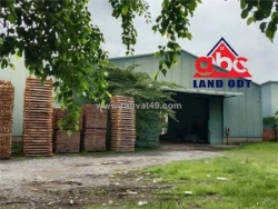 Xt595 cho thuê nhà xưởng ổn định lâu dài, xa kdc thuận lợi sản xuất hàng hóa