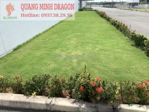 Yếu tố quyết định chi phí dịch vụ cắt cỏ khu công nghiệp