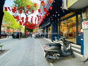 🔅 mặt phố nguyễn thái học, lô góc 3 thoáng 74m2 5t siêu kinh doanh chỉ 58.5 tỷ