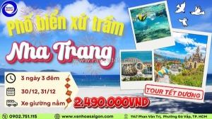 🌊 phổ biến xứ trầm – nha trang rộn ràng tết dương! 🌊 sgc tourits