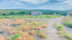 1,5 ha (15.000m2) full cafe vài tháng tuổi, ninh gia, lâm đồng