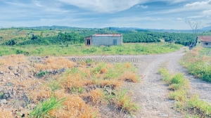 1,5 ha (15.000m2) full cafe vài tháng tuổi, ninh gia, lâm đồng  đất vừa xuống toàn bộ full cafe vài tháng tuổi, 3 mặt tiền, đường xe công, xe 3 giò vào tận đất...  cách cầu tân bình chỉ hơn 3km, quốc lộ 20 tầm 8km, chợ trung tâm ninh gia chỉ 11km  đất trích lục mới 2023, có thể lên sổ full, khách mua chỉ về chăm sóc, ao hồ đầy đủ... view cao thoáng nhìn chill hết ý luôn...  giá chính chủ: 150 triệ