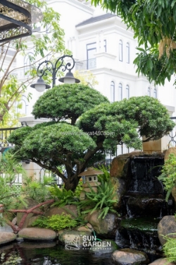 Ảnh sân vườn – gợi ý bố cục và phong cách thiết kế