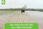 Bài toán kinh tế nx510 thu hồi vốn sau 1 năm