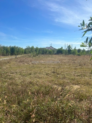 Bán 1031m2 đất ont hẻm quốc lộ 55 - hàm thuận nam giá gốc 67tr/m ngang